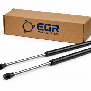 2X AMORTIGUADORES DE PRESIÓN DE GAS BMW BMW 5 E60 E61 51237008745 51247008754