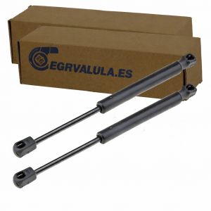 2x amortiguadores gas maletero Audi Seat Skoda VW pistones portón trasero 8D5827552F 8D5827550C 3B5827550A 8N0823359 1J5827552 8D5827552 3B5827550 muelles elevación soporte capó trasero recambio compatible OEM kit